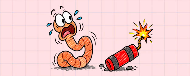 Worms made in colo