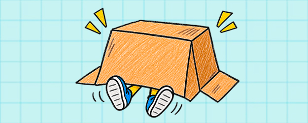 Cache-carton
